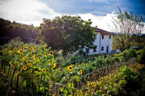 Apartment with privat garden